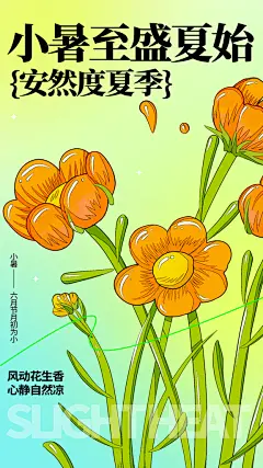 中国传统二十四节气小暑宣传海报