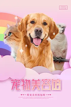 宠物商店用品美容领养宣传海报