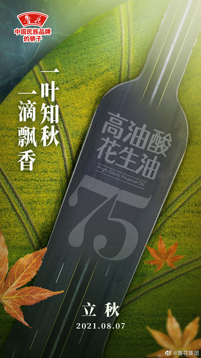 鲁花-立秋-2021-插画-启动页-闪屏...