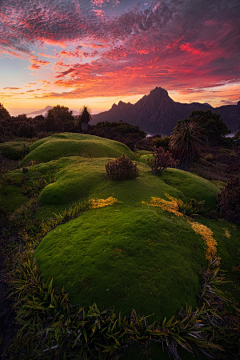 花鱼szd采集到场景