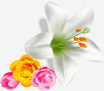 手绘白色花朵服饰装饰高清素材 服饰 白色...