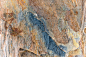 棕色和蓝色大理石纹理与自然图案为背景。
