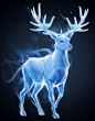 Harry Potter Wikia: Patronus Charm