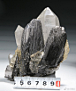 昨天和别人聊起原石就跑去搜了下黑钨矿，结果发现居然大多与白水晶伴生……我们自己做设定的时候也没想到啊，这……这真是太浪漫了！然而形态好的伴生矿标本作者自己也卖不起……（图来自TB或者搜索引擎 ​​​​