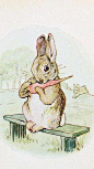 英国童话作家、插画家Beatrix Potter（毕翠克丝·波特，1866-1943），生于维多利亚时代的一个英国贵族家庭。从小受到良好地绘画教育，喜爱将身边的小动物拟人化，用绘画来表达自己对周围世界的观察和想象。英格兰湖区是她灵感特殊的来源，她对大自然的热爱使她创作出著名的《彼得兔》系列童话图书