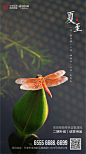 夏至-02