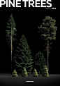 render.camp | Pine Trees on Behance