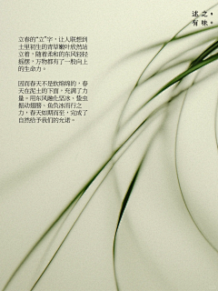 网恋达人采集到植物、花花草草