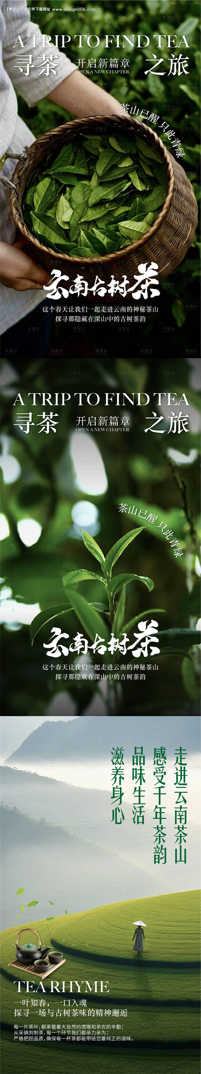 云南古树茶海报--源文件下载