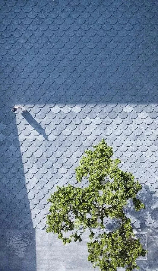 在天空钓鱼 | 龙湖·云峰原著
