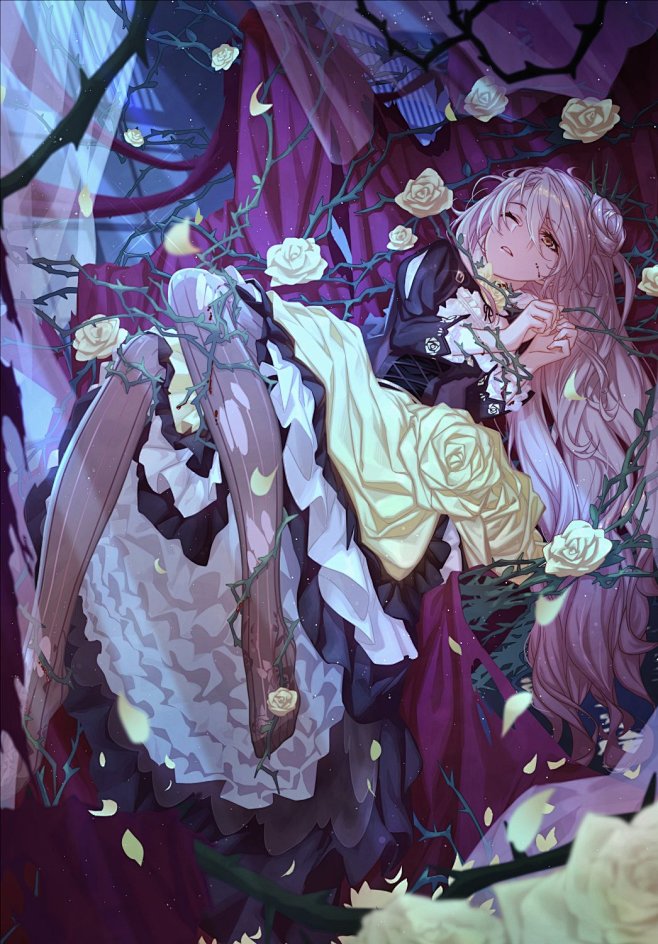 捆绑 夜 蔷薇