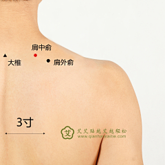 Riko丶采集到穴位