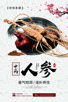 中医中药海报人参养生海报