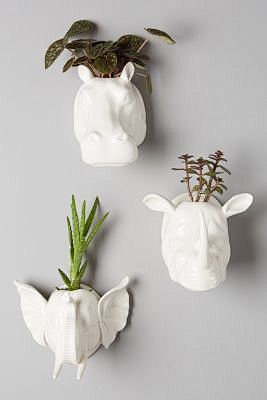 White Wall Planters:...