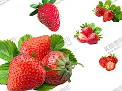 草莓 【酷图网】草莓,新鲜草莓,美味草莓,有机草莓,草莓海报,草莓壁纸,草莓背景,草莓挂画,草莓挂图,草莓上市,水果店草莓,草莓批发,草莓基地,草莓采摘,草莓采摘季,草莓采摘节,水果草莓,草莓文化,草莓专卖,草莓节,草莓活动,草莓熟了,草莓灯箱,草莓素材,高清草莓,水果采摘,摄影,生物世界