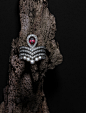 CHAUMET 戒指.jpg
