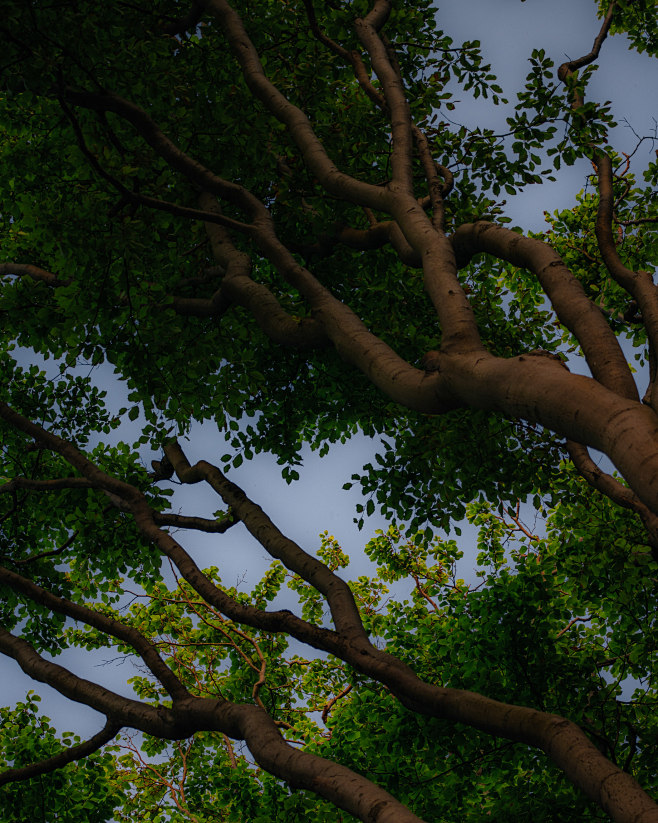 82cf53170330355.645b...