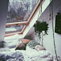 (3) Tumblr