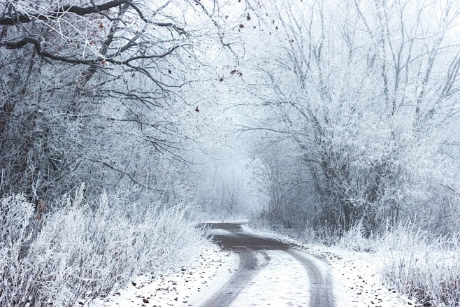 雪, 冬天, 冷, 路, 农村, 树, ...