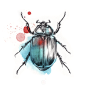 Esra Røise // Bugs - 199 #采集大赛#