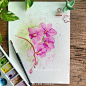 花卉！
ins：petiteprocrastinator ​​​​