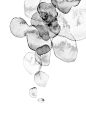 2d9e0bf08c6a0f869e44f5e8d2d5e061b32a09b4e057-cc2wH6