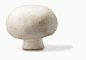 Mushroom on white background_创意图片