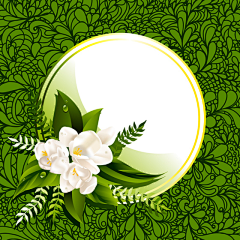 -awei采集到花