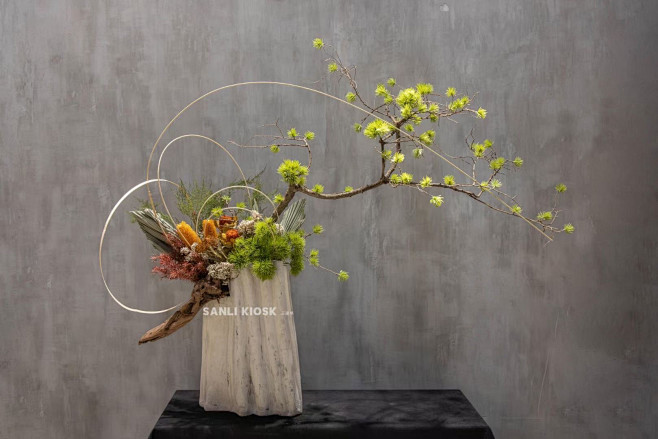  _H花艺绿植  