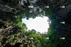 洞穴 自然 全高清壁纸 树 亚洲 马来西亚 天空 荒野 酷背景