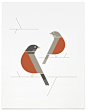 Gallery Allison Newhouse #newhouse #allison #birds #illustration #poster