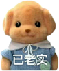 森贝儿表情包