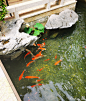 花园设计 | 中星红庐别墅花园案例_汉花园林