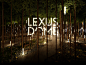 Lexus Dome : The Lexus interactive zone. Inspiration, philosophy, technical features, and design.