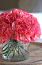 Simple Carnation Flower Arrangement & Tips