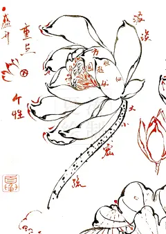 荷花教程｜花头、荷叶、莲蓬画法一看就会 - 小红书