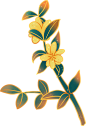 创意国潮风中秋节插画-桂花