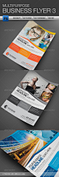 GraphicRiver Multipurpose Business Flyer 3 4673296