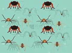 背景,蜘蛛,多样,壁纸,动画片,二进制码,矢量,可爱的,怪异,暗色