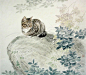 国画家邢诚爱工笔猫作品