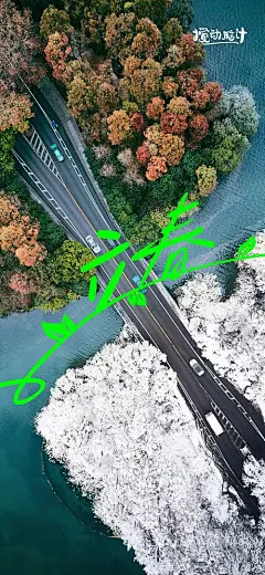 立春海报