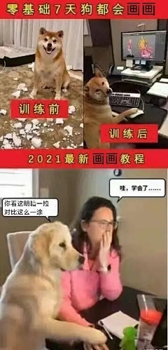 袁七月采集到先yeah一个，免得你们觉得我不快乐。