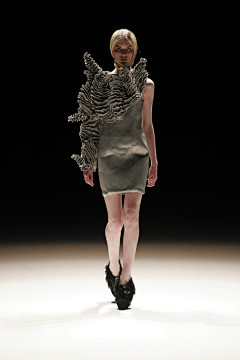 布拉希采集到iris van herpen