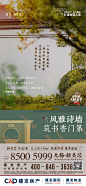 建发刷屏