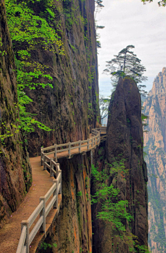 訬不可言采集到风景