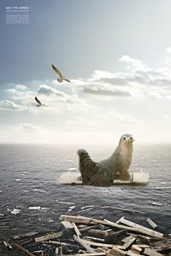 海报保护动物公益海报