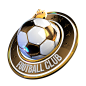 football_emblem_11