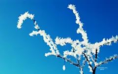 霜降时节电脑桌面高清壁纸唯美图片桌面壁纸4