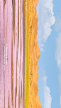 9b8a36e9gy1hjcdwb0f2uj22lr4mlb2c.jpg,360x640 像素