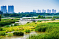 03_The Harbin Cultural Center Wetland Park by Turenscape
